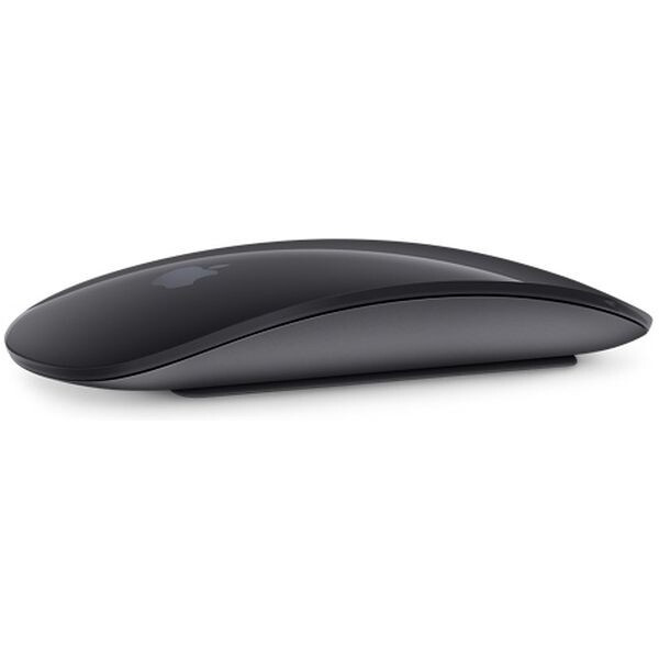 Apple Magic Mouse 2 vesmírně šedá (Další)