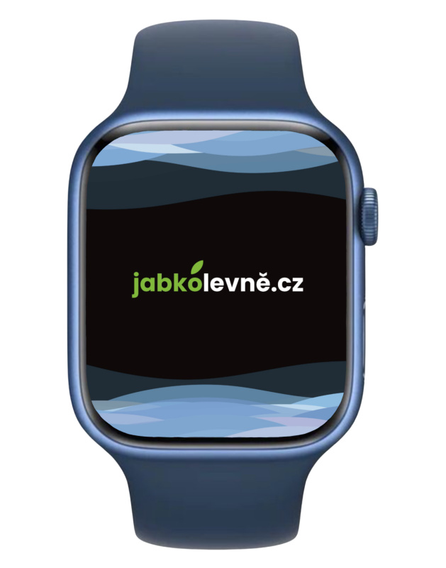 Apple Watch Series 7 45mm MKN83HC/A