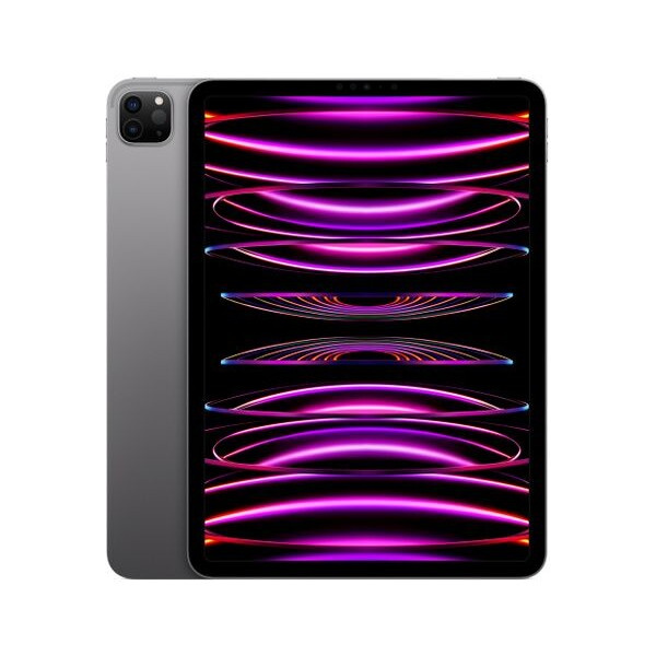 Apple iPad Pro 11" (2022) 512 GB Cellular vesmírně šedý (Kategorie C)