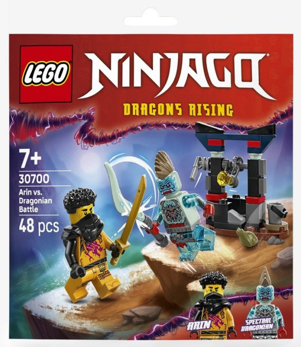 Klocky NINJAGO bitva Arina s drakem