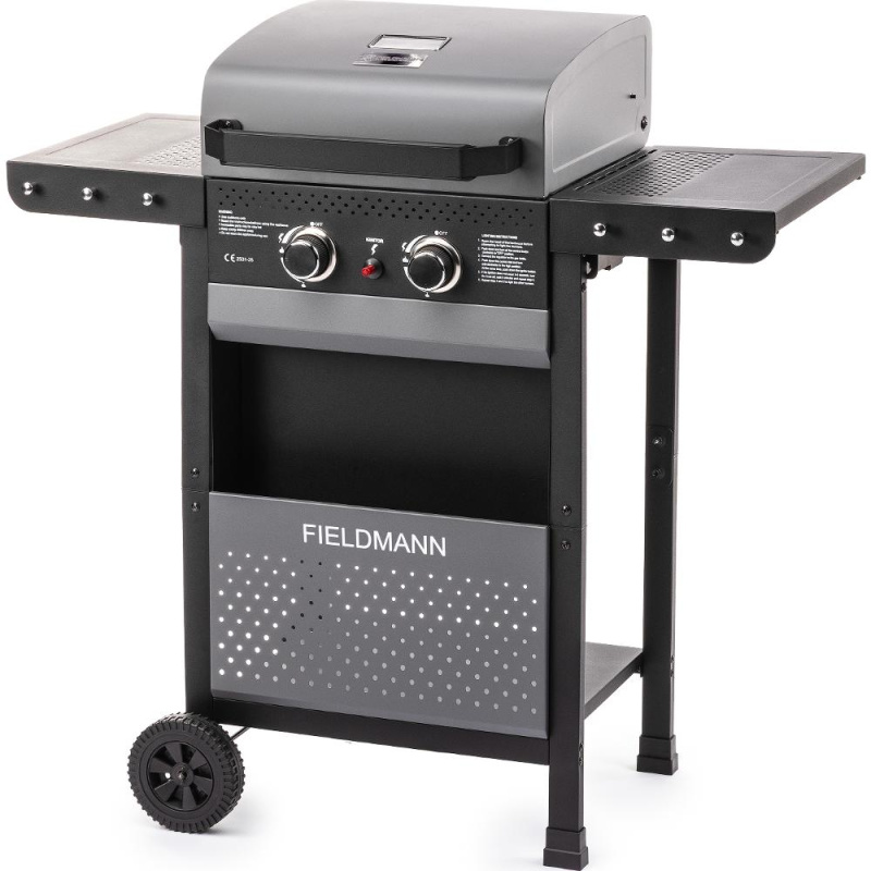 Fieldmann FZG 3000