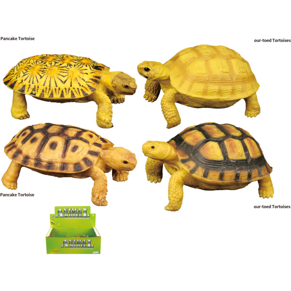 Zvířecí svět - Želva H54 4 druhy