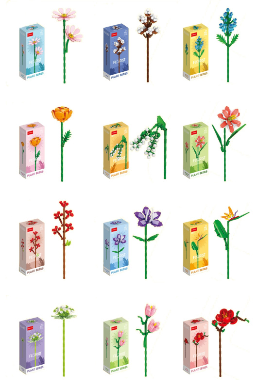 FLORIST Pestrobarevné letní a polní květy, 12 druhů