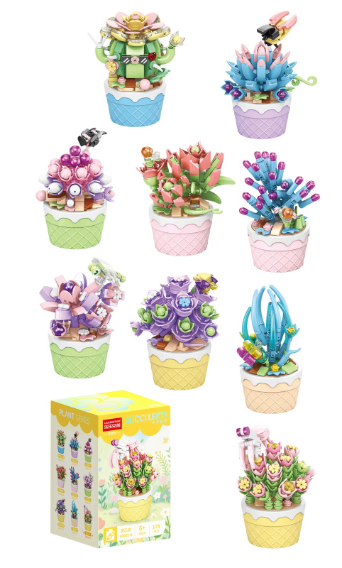 FLORIST Sukulenty v ozdobných květináčích, 9 druhů