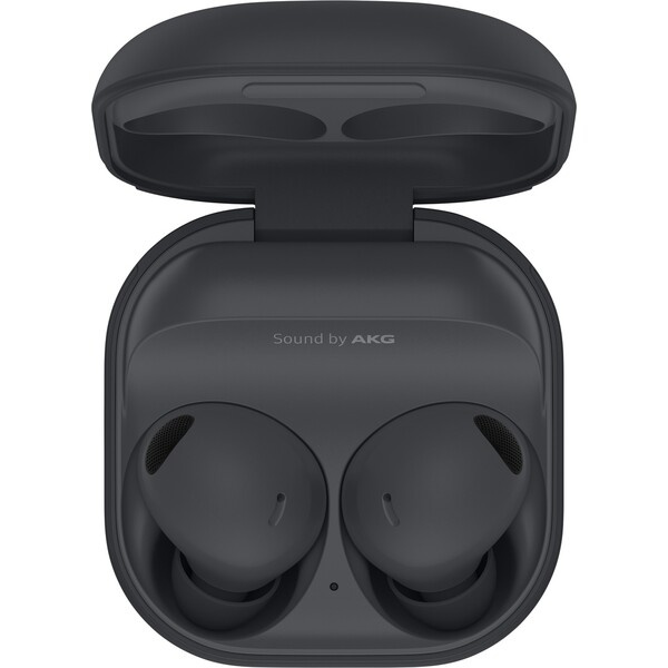 Samsung Galaxy Buds2 Pro grafitová (Další)