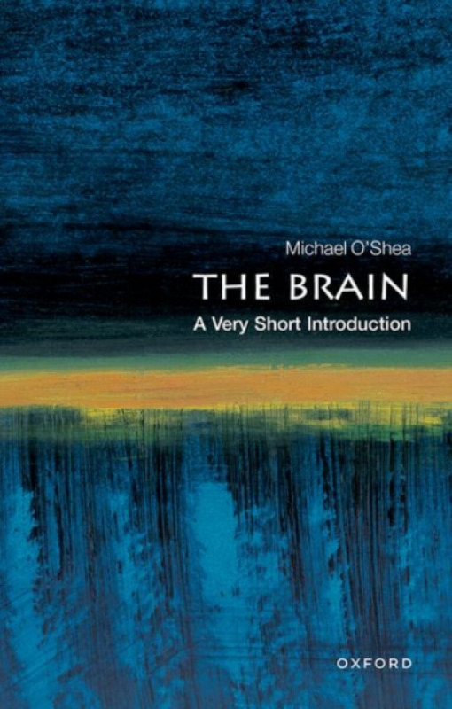 The Brain - Michael  O'Shea