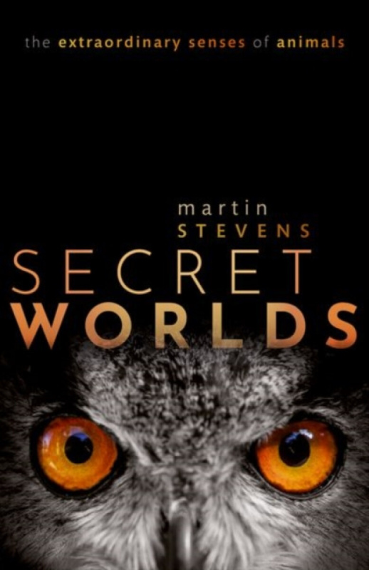 Secret Worlds (The extraordinary senses of animals) - kniha z kategorie Biologie