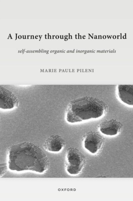 Oxford University Press Journey through the Nanoworld - Pileni, Marie Paule (Professor of Physical Chemistry, Professor of Physical Chemistry, Sorbonne Universite)